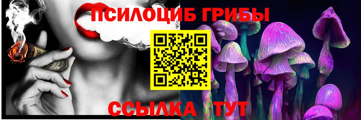 купить   Псилоцибиновые грибы мицелий  Балахна  Псилоцибиновые грибы MAGIC MUSHROOMS 